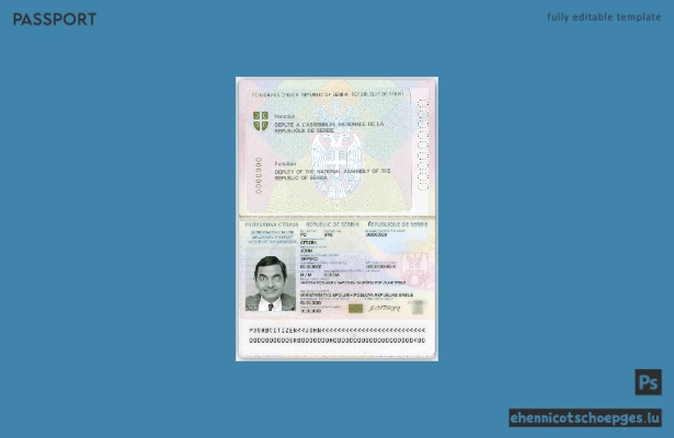 Beispielansicht eines serbischen Diplomatenpasses 2008–2016